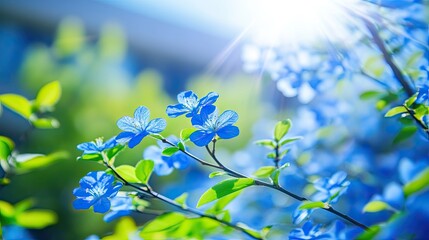 Wall Mural - natural branch with vibrant blue foliage, set against a soft and neutral background.