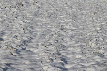 Beautiful snow texture background. Snow winter or christmas background. Snow texture. Winter white background. natural Snowdrift in sunny day. Nature Winter snow texture background.
