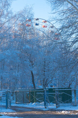 Wall Mural - snow-covered trees in the city park with the ferris wheel attraction, winter day