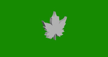 Poster - Isolated realistic white maple leaf symbol front view with shadow. 3d illustration on green chroma key background