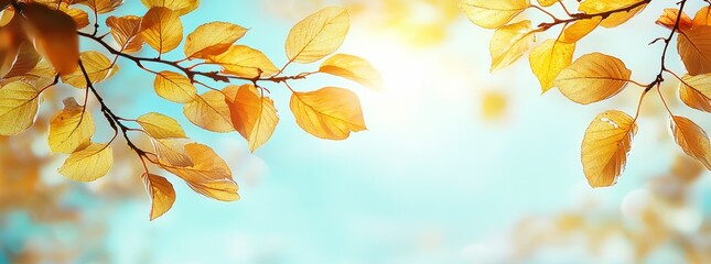 Poster - Autumn leaves in an autumn park with yellow, red, and orange hues
