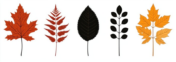Poster - A silhouette of leaves set against a white background, isolated in autumn