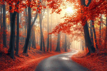 Poster - An autumn forest full of colorful trees and autumn leaves surrounded by bright sunlight. An autumn forest in Japan with bright sunshine and colorful leaves.