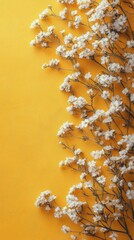 Wall Mural - Bright yellow background framed with delicate white flowers creates a cheerful, uplifting atmosphere