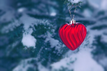 Wall Mural - valentines day background with red heart on snow covered pine branch