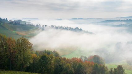 Wall Mural - Time-lapse video of morning mists creeping over the picturesque, autumn-covered hills near Maribor, close to the Austrian border in Slovenia