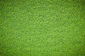 Canvas Print - artificial grass texture background.