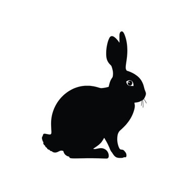 Bunny Silhouette, black silhouette on whit background