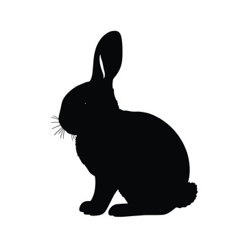 Bunny Silhouette, black silhouette on whit background