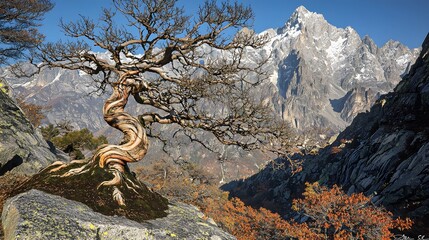 A bonsai tree, its branches gnarled and twisted, superimposed on a rugged mountain range. This image symbolizes the resilience of life in the face of adversity. Double Exposure.[Bonsai]:[The 