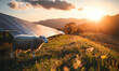 © Emons - A sheep grazes near solar panels during a sunset in a serene landscape.