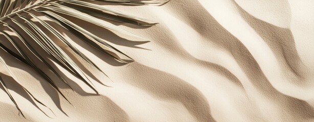 Poster - Minimalist summer composition featuring a dried palm leaf casting a long shadow on the rippled surface of light beige sand, creating a serene and natural aesthetic
