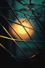 Aufkleber - Abstract view of sunset through blinds with silhouette of plant