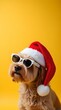 © mischenko - Happy New Year banner, dog in Santa hat and sunglasses on yellow background