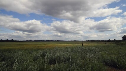 Wall Mural - Prairie Winds blow across the prairie with waving grasses as the sun shows through breaks in the cloudy skies