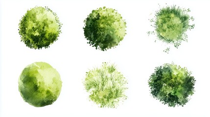 green grass isolated on white background, set of watercolor tree top view for landscape plan and arc