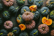 © The Picture Pantry - Variety of green and orange heirloom pumpkins, some cut open exposing orange flesh, arranged in black bowl and on custom teal and copper background, filling the frame