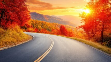 Wall Mural - Serene Autumn Roadway Through Vibrant Fall Foliage at Sunset