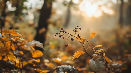 Wall Mural - Autumn Berries Sunlight Forest