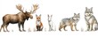 © zong - Watercolor Illustration of Moose, Fox, Bear, Wolf, and Rabbit in Woodland Setting