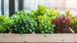 © AI Crafted - Rooftop garden action lush greenery powered by solar energy in urban setting nature's embrace a sustainable oasis