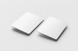 © Mariya - Blank White Credit Card Mockup Minimalist Photography