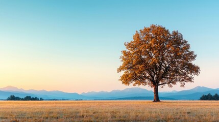 Poster - Solitary tree in a wide-open field, against a backdrop of mountains and a clear sky.