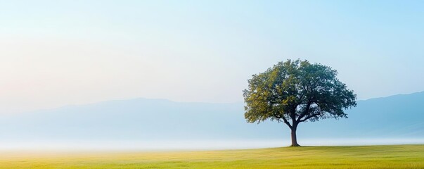 Poster - A solitary tree in a serene landscape with soft colors and misty background.