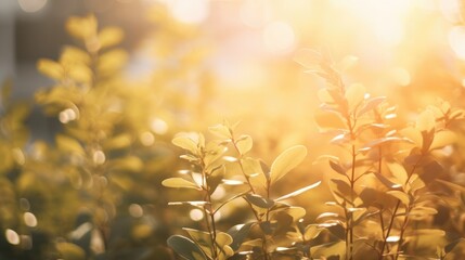 Sticker - Morning sunlight highlights soft-focus foliage creating a tranquil and warm atmosphere in a natural setting.