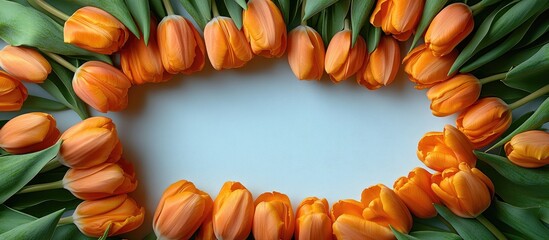 Poster - Vibrant orange tulips arranged in a decorative frame on a soft blue background creating a stunning floral composition for various uses
