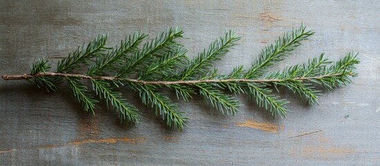Poster - Natural fir branch on rustic wooden table ideal for Christmas decoration and holiday decor inspiration close up shot