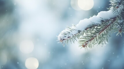 Aufkleber - Fir tree branch adorned with fresh snow in a soft focus winter background creating a serene and tranquil seasonal atmosphere