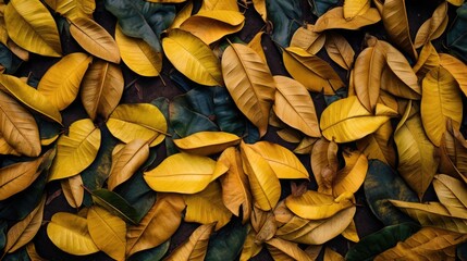 Poster - Dried jackfruit leaves scattered on the ground showcasing vibrant autumn colors in a natural setting