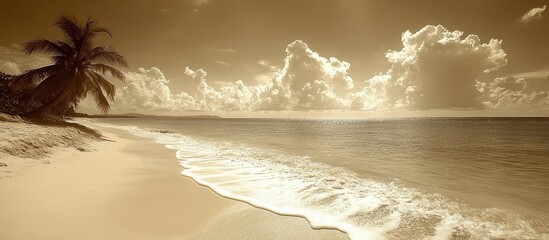 Leinwandbilder - Coconut palm tree on serene beach in sepia tone with gentle waves and dramatic clouds enhancing the tranquil coastal atmosphere.