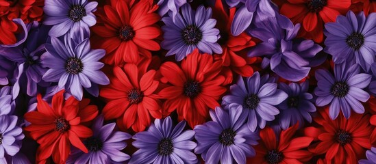 Poster - Vibrant close up of a mixed bouquet featuring red and purple flowers with ample copy space for text or branding purposes