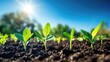 © Kultivad - Young green plants emerging from rich dark soil under a bright blue sky symbolize renewal and vibrant growth in a sunlit environment.