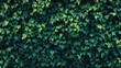 © Seyyar - Dense green ivy leaves interlaced to create a lush vertical garden backdrop, showcasing a rich tapestry of vibrant foliage.