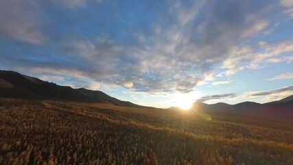 Wall Mural - A serene landscape showcases a stunning sunset with vibrant hues illuminating an open field. The rolling hills create a peaceful backdrop, inviting moments of reflection.