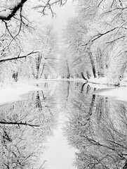 Wall Mural - wintry wonderland