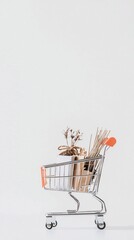 Poster - A shopping cart filled with essentials, representing consumer benefits and market economy growth