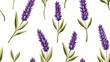 © ADD PHOTO - Vibrant Purple Lavender Flowers Blooming in Lush Organic Garden