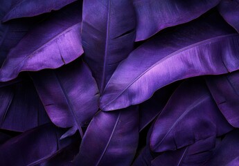 Poster - Vibrant Purple Tropical Leaves Pattern with Rich Texture and Depth, Ideal for Nature-Inspired Designs and Illustrations