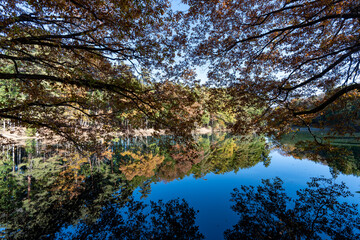 Wall Mural - 紅葉の北伊奈ヶ湖