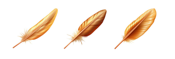 Poster - Golden feathers collection, three elegant golden feathers with intricate details and soft textures, showcasing vibrant colors and natural beauty, isolated on transparent background, png
