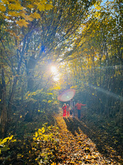 Wall Mural - Family enjoying a sunny autumn walk in a forest path