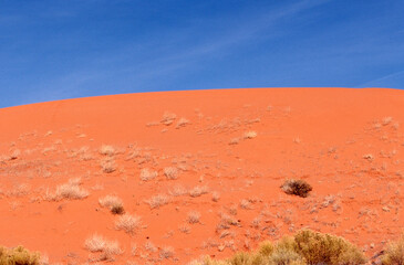 Arizona red sand desert landscape