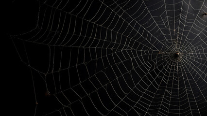 Detailed spider web on dark background. Concept of intricate design, nature, and arachnid.