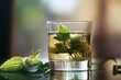 © TuruMuru - Glass of nettle tea with fresh and dried nettles