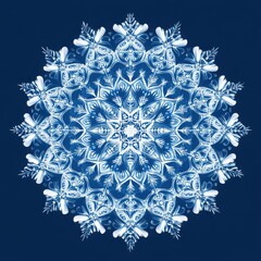 Poster - Intricate blue snowflake design featuring detailed patterns and shapes, evoking a sense of winter elegance.