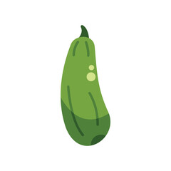 Poster - green zucchini squash with a slightly curved shape is shown growing against a white background